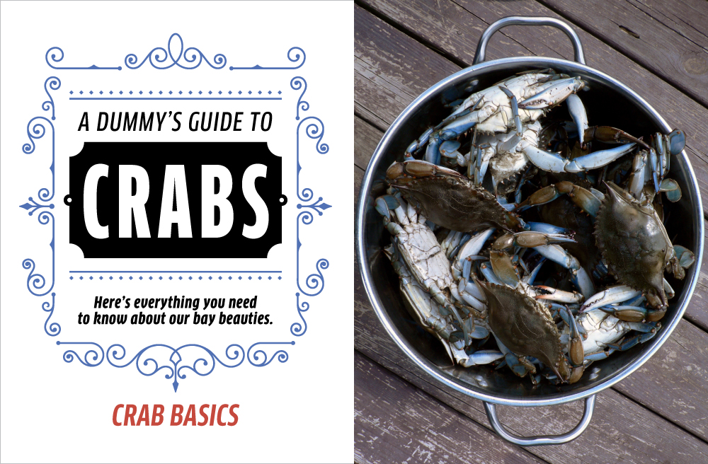 blue crab diagram