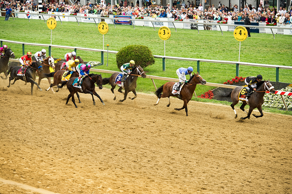 Main Horse Racing Events 2024 Camila Mathilde