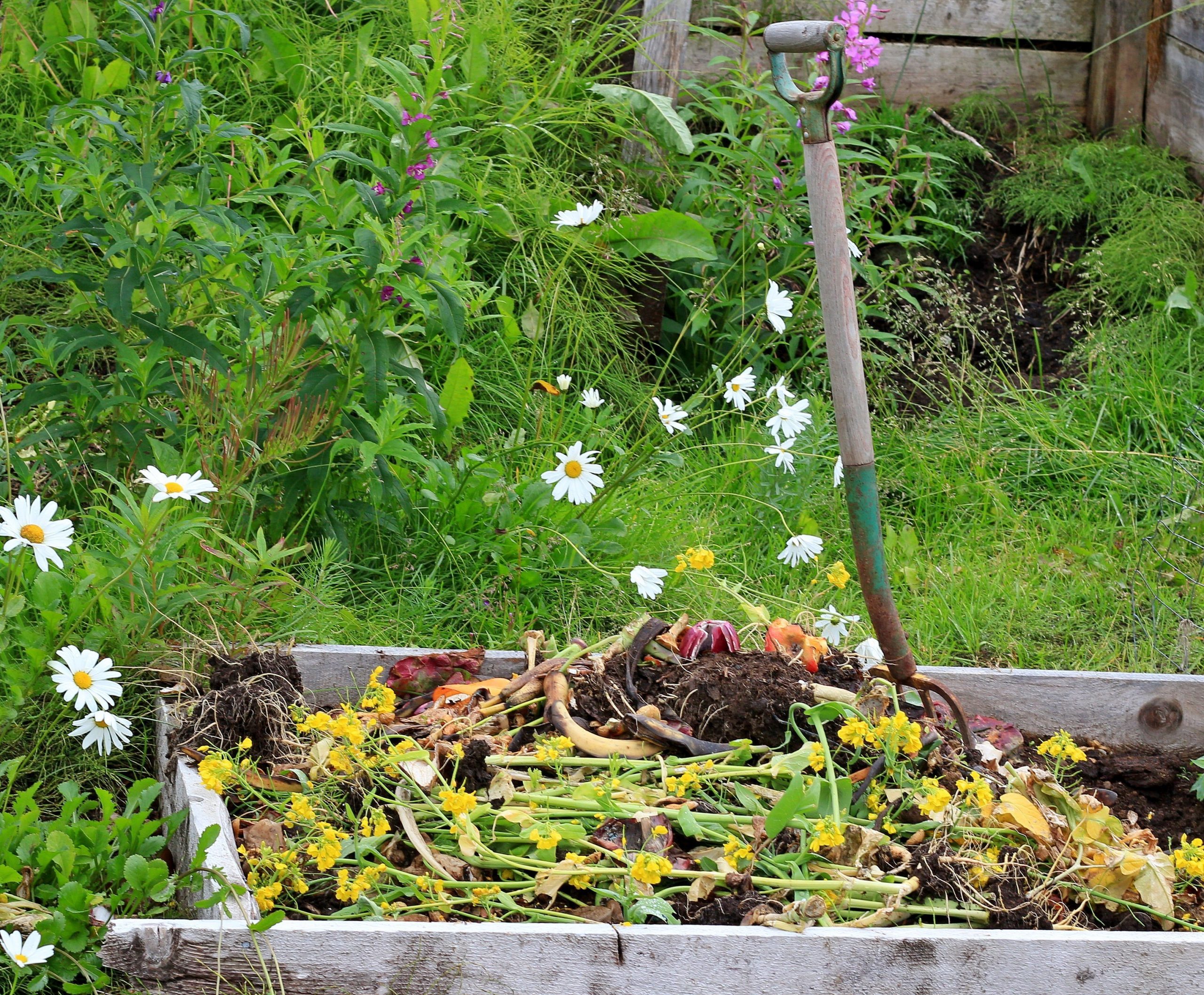 Kitchen Composting: A Complete Beginner's Guide - Compost Magazine