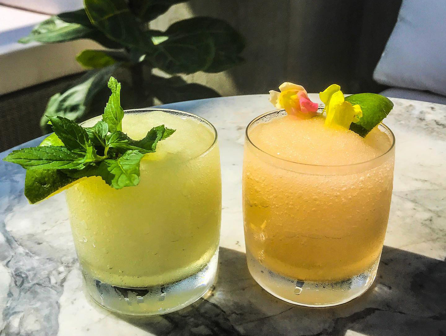 National Tequila Day Specials To Quench Your Summer Cocktail Cravings Baltimore Magazine