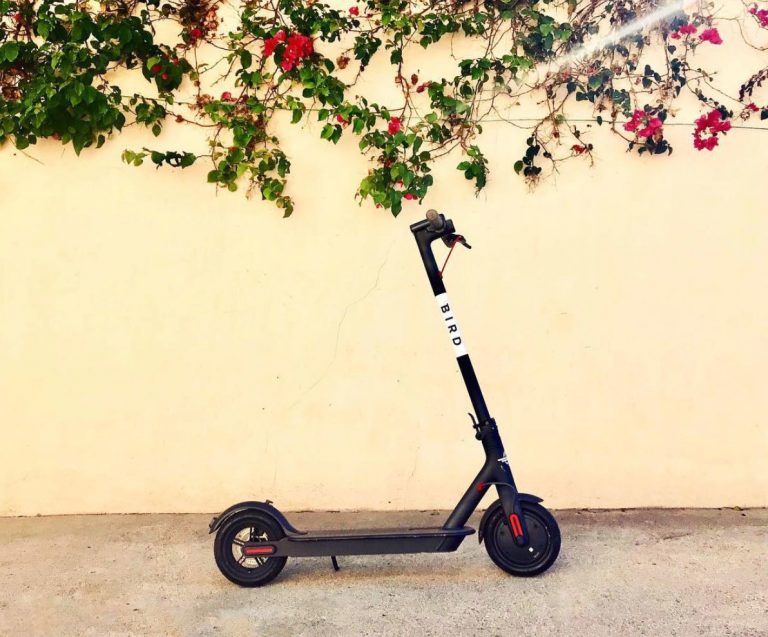 What You Need to Know About Bird Electric Scooters Baltimore Magazine