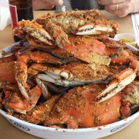 crabs-1