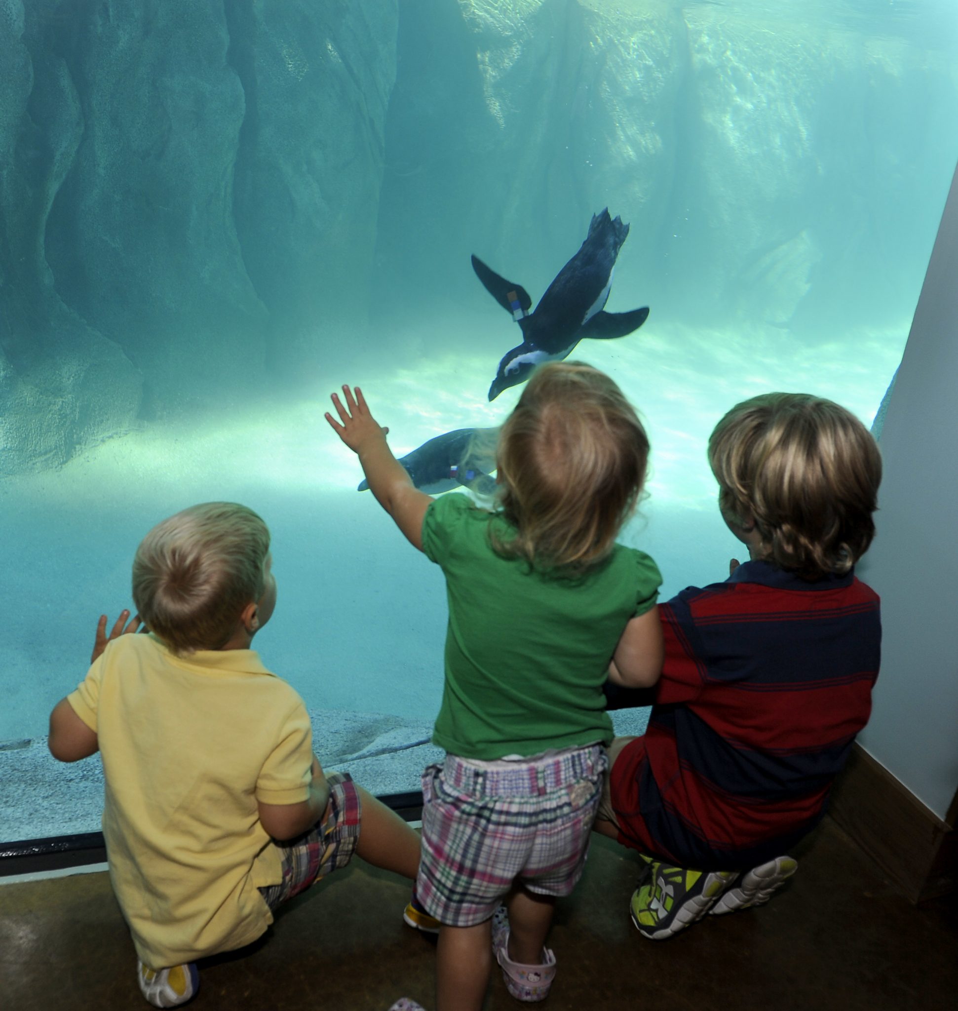 Zoo and Aquarium Win Awards for New Exhibits - Baltimore Magazine