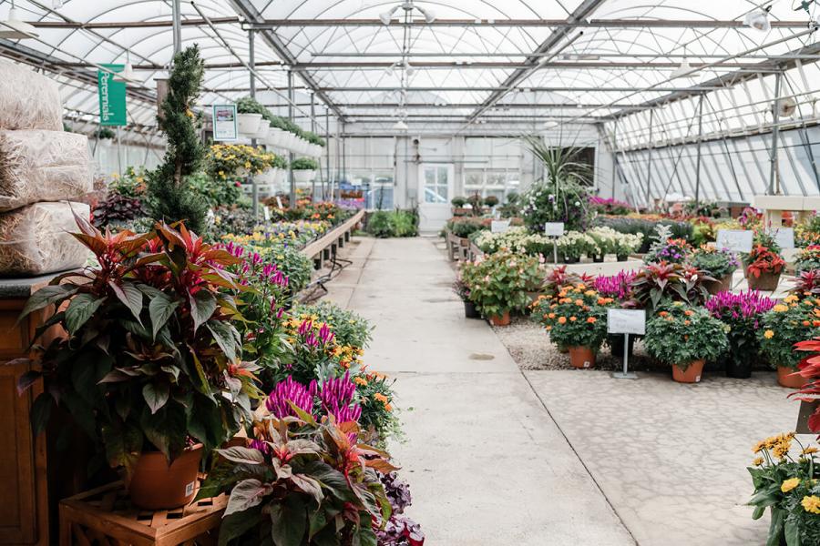 Ten of the Most Delightful Plant Shops Around Baltimore