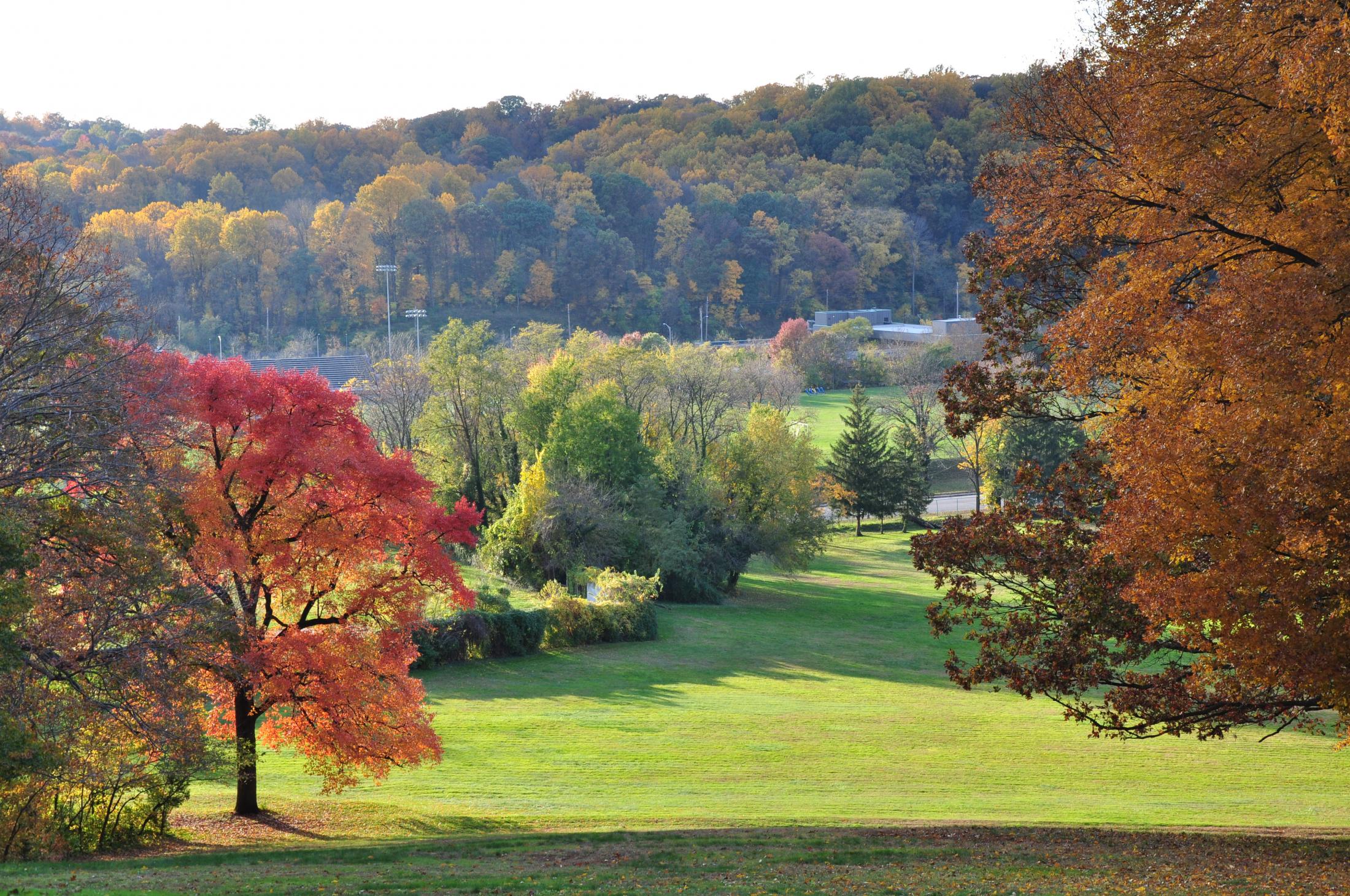 Hillside Park Will Be the Largest New Green Space Baltimore Has Seen in ...