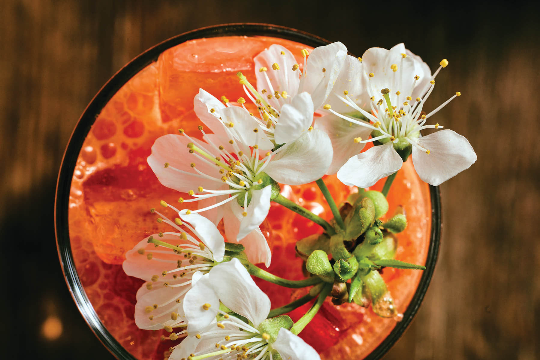 Edible Flowers are a Budding Trend at Area Restaurants